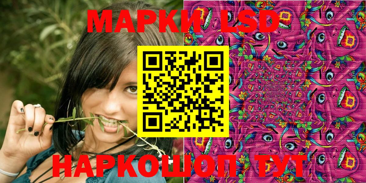 Марки N-bome 1,8мг  Марки N-bome 1,8мг  Вход с VPN  Лесной 