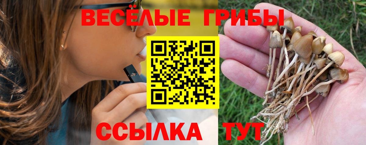 Псилоцибиновые грибы мицелий  Вход с VPN  где купить наркотик  Лесной 